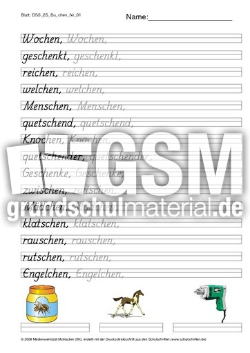 DSS_2S_Bu_chen_Nr_01.pdf